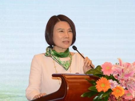 独家丨董明珠用个人资产下注的珠海银隆，电池技术从哪来?